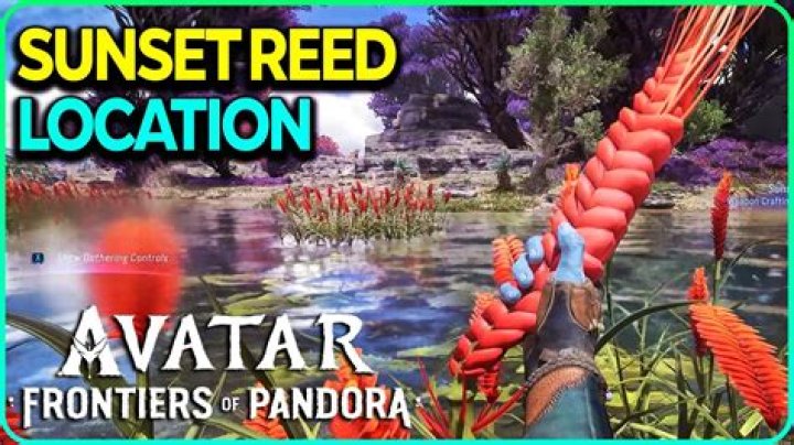 Avatar Frontiers of Pandora Reed Location: Greatheart Lake Island Map Guide - SarkariResult