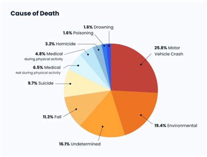Dante Dettamanti Accident: Cause of Death – What Happened?