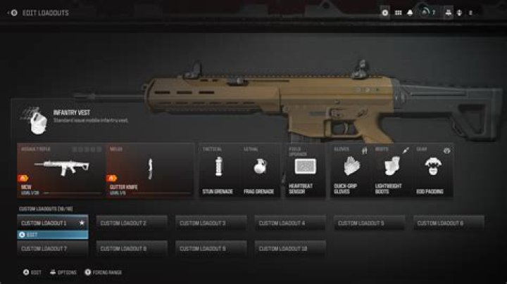 How to Fix MW3 Warzone Fetching Online Profile Error? - SarkariResult