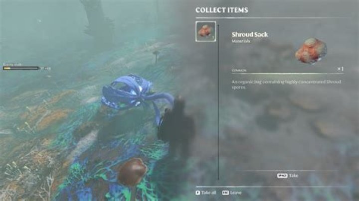 How to Get Shroud Sacks in Enshrouded? - SarkariResult