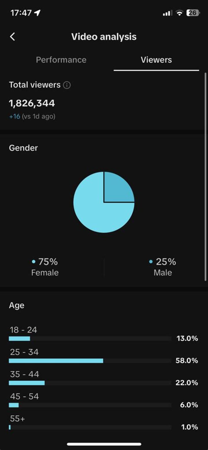 Howcast Youtuber overview