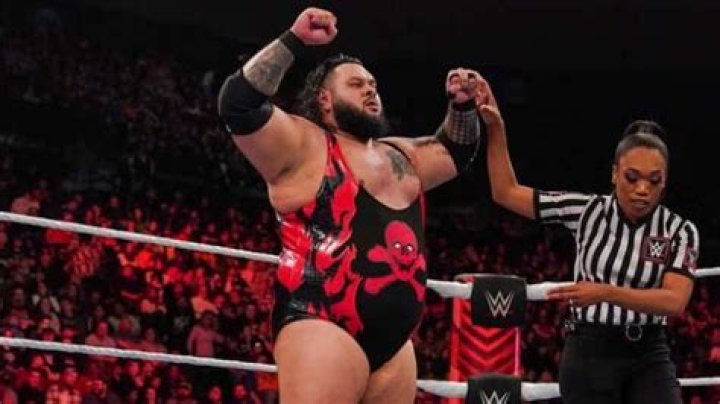 Is Bronson Reed Wife Pregnant? Is She Expecting Baby? Who is Bronson Reed Wife? - SarkariResult