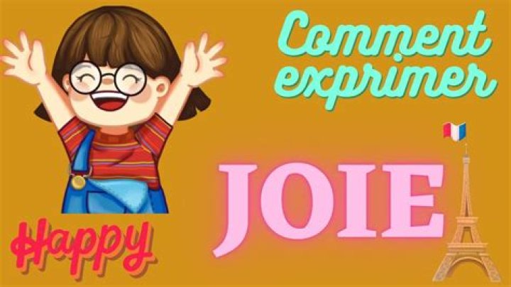joie de fi Youtuber overview