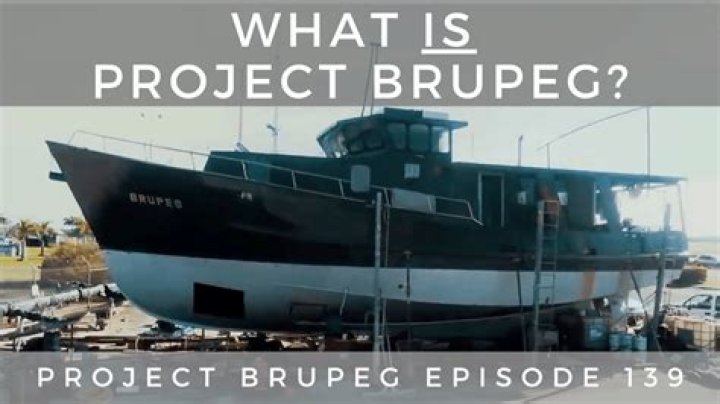 Project Brupeg video statistics