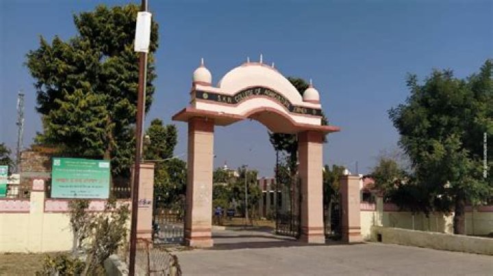 Sikandar Raza Net Worth: Details About Him, Career, Home, Age, Income - SarkariResult