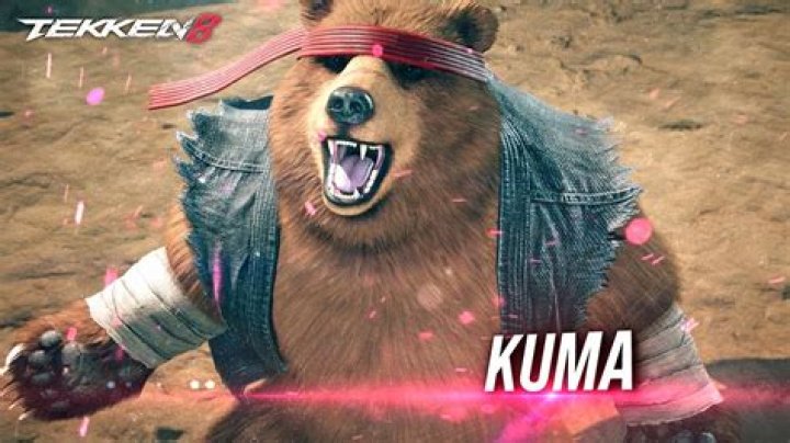 Tekken 8: Kuma Character Guide, Gameplay, Trailer Revealed - SarkariResult