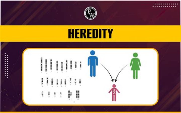 The Voice Gene Taylor Heredity : Illness And Health 2024 - SarkariResult